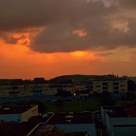 Atico Estudio Sur - Terraza *